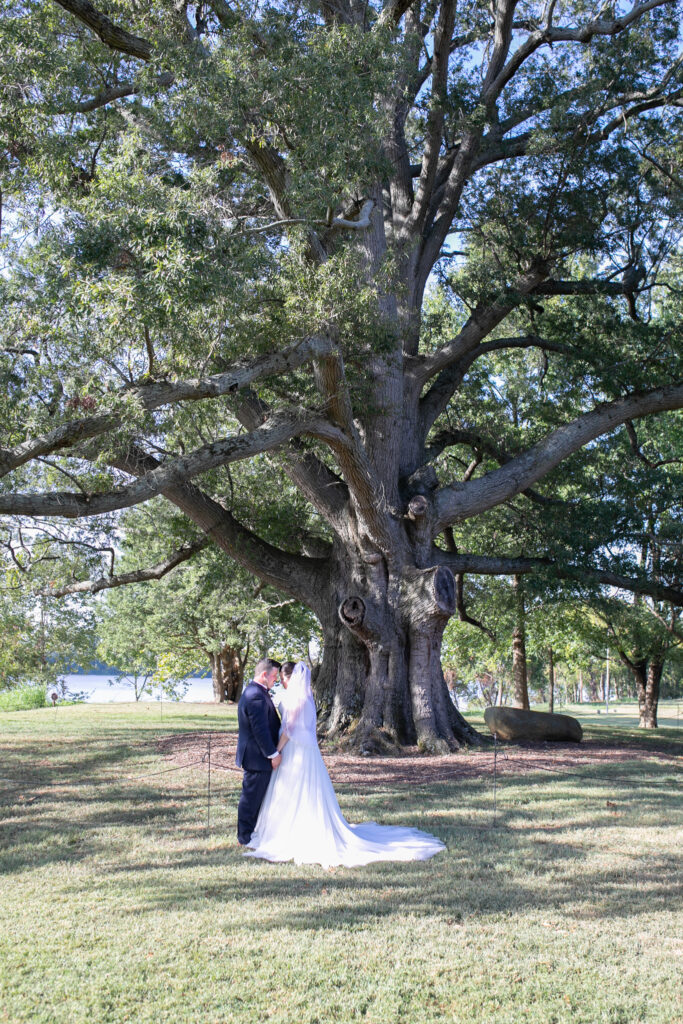 bride and groom kissing at tree